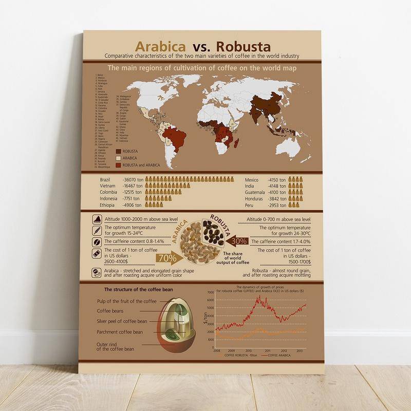 阿拉比卡大戰羅布斯塔咖啡知識世界地圖海報家庭咖啡廳、咖啡裝飾帆布畫