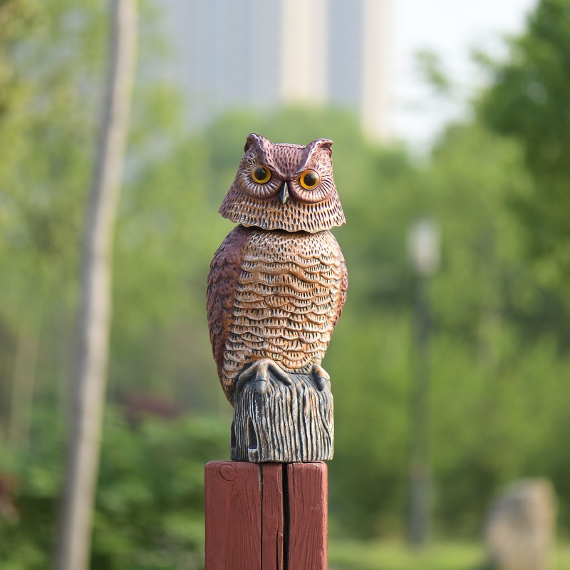 園林仿真塑膠貓頭鷹 園林用嚇鳥產品 園林造景鷹 驅鳥嚇鳥神器 公園雕塑景觀