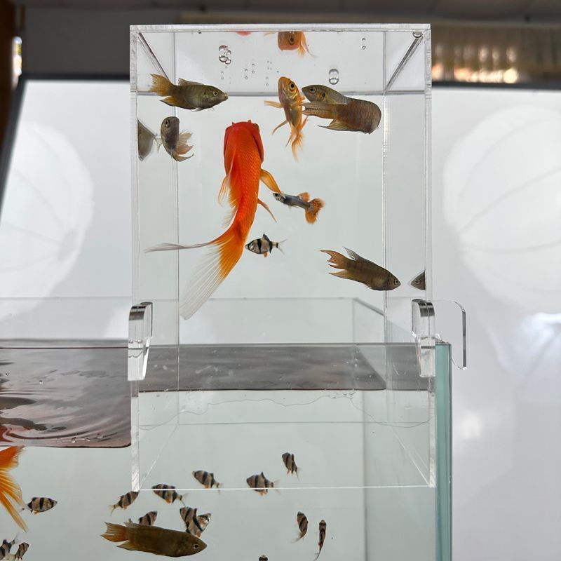 負壓魚缸支架 生態缸造景裝飾全套 小型魚缸 客廳桌面鬥魚缸AD2