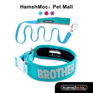 HamshMoc透氣狗項圈牽繩套裝 舒適可調整狗狗脖圈 柔軟親膚 經典尼龍狗鏈 經典脖圈 高品質犬用遛狗牽引用品【現貨速