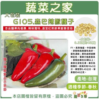 【蔬菜之家滿額免運】大包裝G105.森巴辣椒種子0.3克(約45顆) F1 長勢強盛 中高植株 果色由鮮綠轉鮮紅色 著