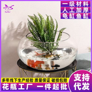 藍瓶 迷你生態瓶 苔蘚生態瓶 玻璃鼓缸透明大號生態圓形金魚缸烏龜缸迷你小型造景水培花瓶批發