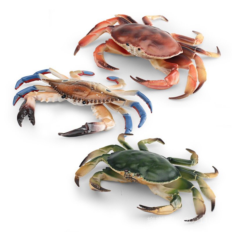❤樂樂屋❤仿真海洋動物螃蟹模型三眼蟹梭子蟹麵包蟹桌面裝飾擺件玩具