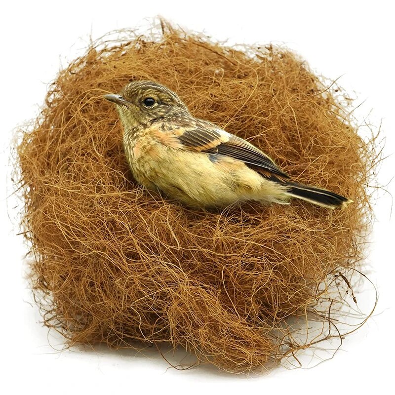 鳥巢屋椰子椰棕纖維天然巢材料鴿子金絲雀鳥雀鸚鵡鸚鵡鳥籠裝飾