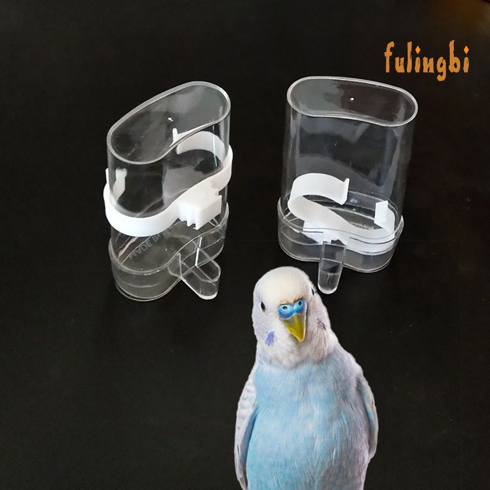 [FUI] 鳥用品自動飲水器餵食器鴿子鸚鵡喝水杯