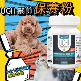 汪喵星球 UCII 關節保養粉 6合1強效複方|MSM犬貓關節保養|口服玻尿酸、葡萄糖胺、軟骨素|關節健康|貓狗