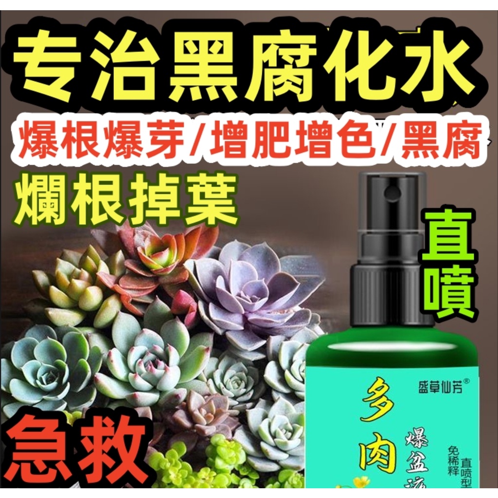 【🤣臺灣出貨】专治黑腐化水 150ml 直噴 爆滿盆  多肉化水 爛根 掉葉 專用 化水 增色 增肥 爆芽