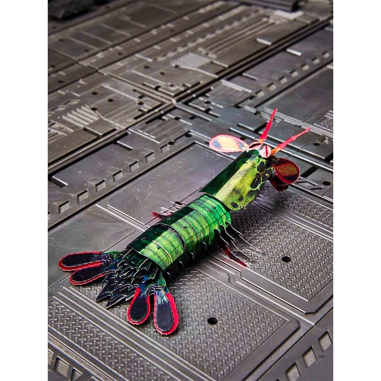 皮皮蝦我們走 雀尾螳螂蝦全金屬DIY創意拼裝模型3D立體拼圖昆蟲