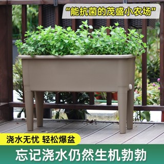 免運 陽臺種植箱2023新款種植盆高腳長方形花盆樓頂花箱種菜神器蔬菜菜