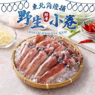 季節限定 東北角燈補野生鮮凍小卷 二排/300g/盒