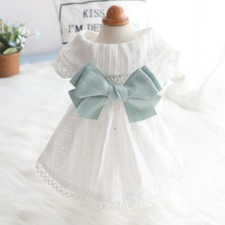 狗狗衣服春夏薄裙洛麗塔公主薄荷蝴蝶貓寵物衣服