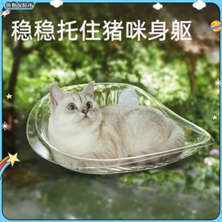 【現貨速發】貓吊床 新款 懸浮貓吊床 吸盤式 透明貓吊床 窗戶 玻璃 夏季 吸盤懸掛式 曬太陽神器 貓爬架