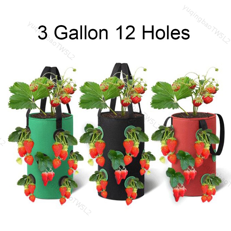3 加侖 12 孔草莓種植盆袋植物花卉番茄種植花園壁掛蔬菜根種植她的 TW5L2