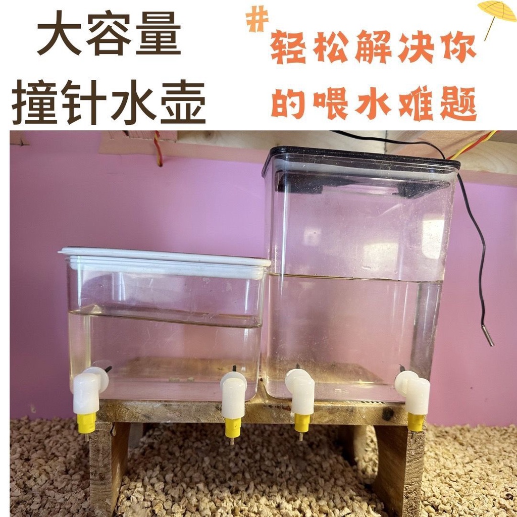 🔥新款台灣熱賣🔥蘆丁雞撞針飲水器雙頭自動喂水器魯冰飲水器鵪鶉雛雞大容量水壺