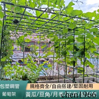 戶外庭院葡萄架子 園藝花架 室外種菜爬藤架 黃瓜豆角月季植物支撐桿 爬藤架 園藝花支架 園藝支架 植物架 番茄架子