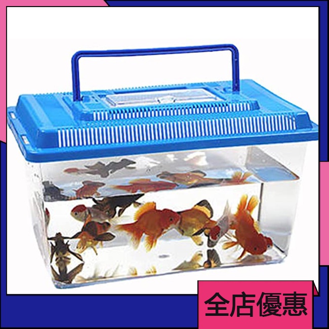 Wishlist 便攜寵物養殖箱透明龜缸金魚缸顏色隨機