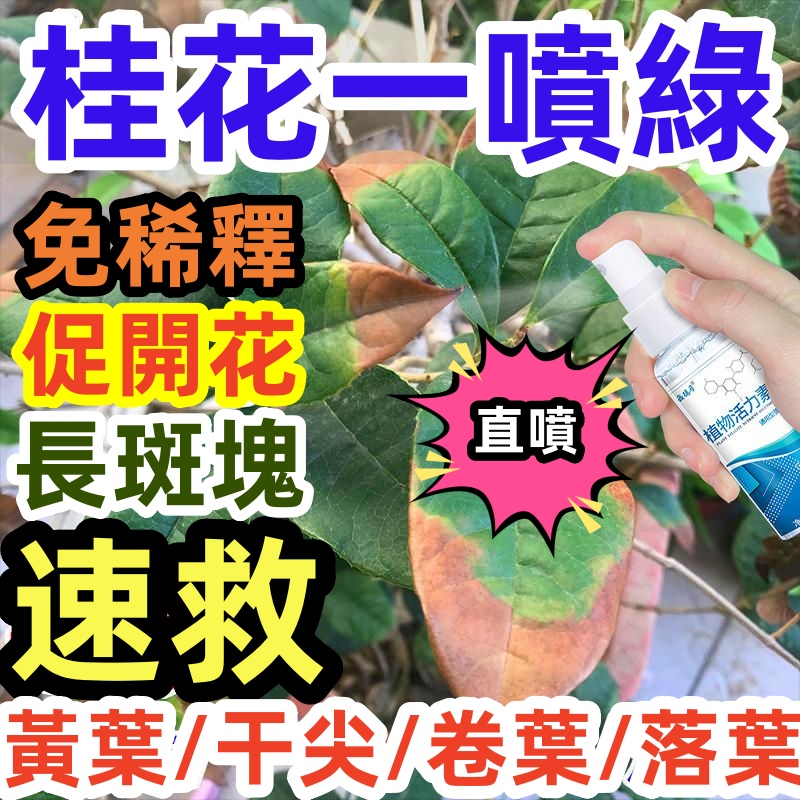 【😁臺灣出貨】植物生長活力素 桂花專用肥 營養液 防黃 促苗 促發芽 免稀釋 促開花 花卉爆根根多肉肥料  養花用的濃縮