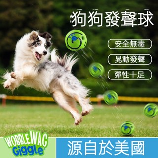 【24H發貨 臺灣現貨】狗狗玩具 寵物耐咬玩具球 狗磨牙玩具球小狗發聲玩具大狗發聲球狗狗訓練玩具小中大型犬玩具球寵物互動
