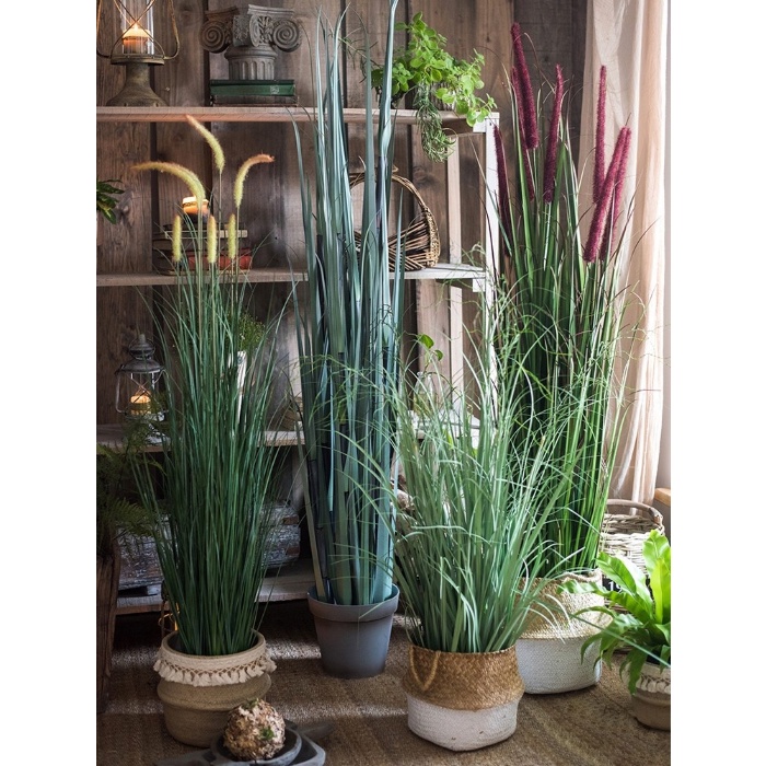 花古谷小店 洋蔥草模擬綠植蘆葦草盆景大型植物假綠植家居室內裝飾品