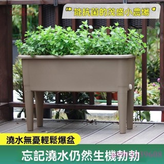 含發票 陽臺種植箱 2024新款種植盆 高腳長方形花盆 樓頂花箱 種菜神器蔬菜菜