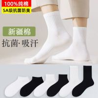 【100%純棉】棉襪子男白色中筒男生運動長襪  男士短襪素色諸暨襪子