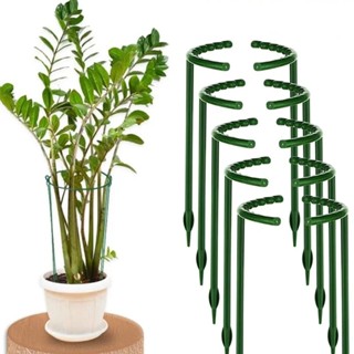 4 件裝植物支撐籠 Plie/半圓形溫室果園固定桿/塑膠植物籠架花盆攀爬格子