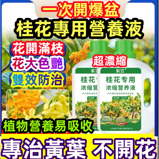 【*^▽^*臺灣熱賣】正品 桂花樹 超濃縮桂花專用營養液 雙效合一 專治不開花 焦尖 枯萎 有機酸性植物促花肥 液體肥