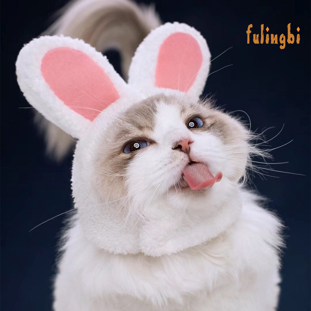 [FUI] 貓咪寵物兔耳朵頭套兔子貓貓帽子可愛生日裝飾品頭飾裝扮