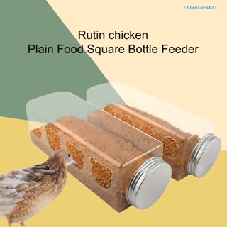 [家有愛寵]盧丁雞專用大容量飲水器水槽投食蘆丁雞自動餵食器飼料盒