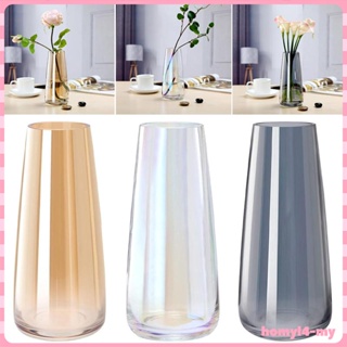 [HomyldfMY] 玻璃花瓶花瓶室內植物美學花盆輕巧奢華透明花盆臥室透明容器