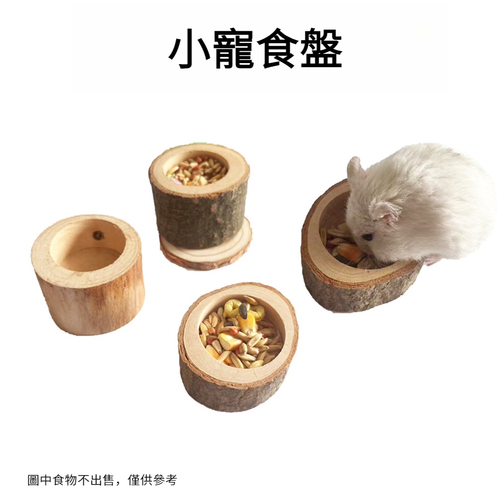 現貨 寵物碗架組飼料桶寵物實木食碗鸚鵡倉鼠蜥蜴烏龜餵食碗寵物造景用品小寵用品