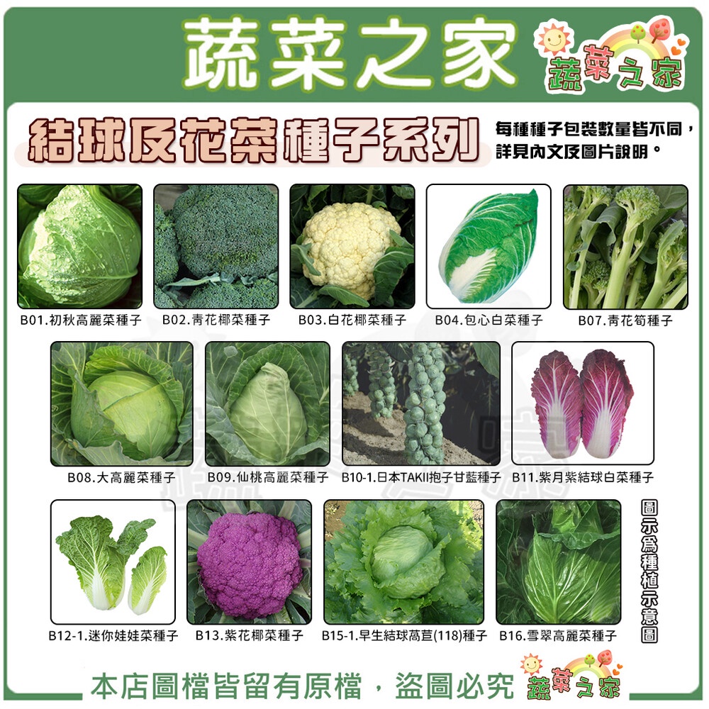 【蔬菜之家滿額免運】結球及花菜類種子系列(各種包裝數量詳見內文及圖片)花椰菜 青花菜 青花椰菜 結球萵苣 高麗菜 美生菜