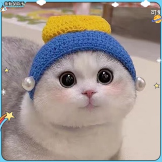 【現貨速發】貓咪帽子 珍珠耳環少女 貓帽子 貓咪頭套 搞怪 狗狗頭套 毛線編織 藍色寵物頭飾 變裝帽