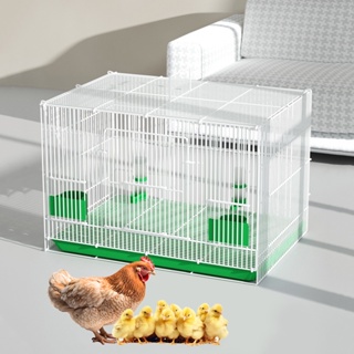 大號加密家養雞籠子家用小雞籠蘆丁雞鴿子籠鵪鶉室內鴨籠室外鴿籠