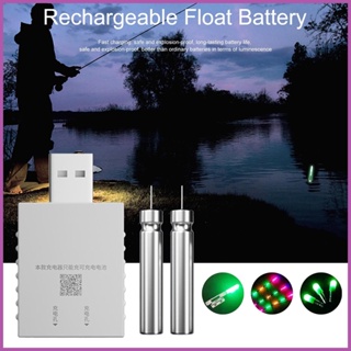 電子浮子充電器夜釣可充電浮子電池釣魚浮子電池和可充電 ksiduegtw