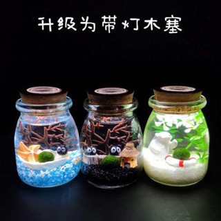 海藻球 生態瓶 球藻 綠球藻 迷你盆栽 生日禮物 懶人植物 夜光 療癒 減壓 禮物 微景觀 水培植物 小禮物 室內盆栽