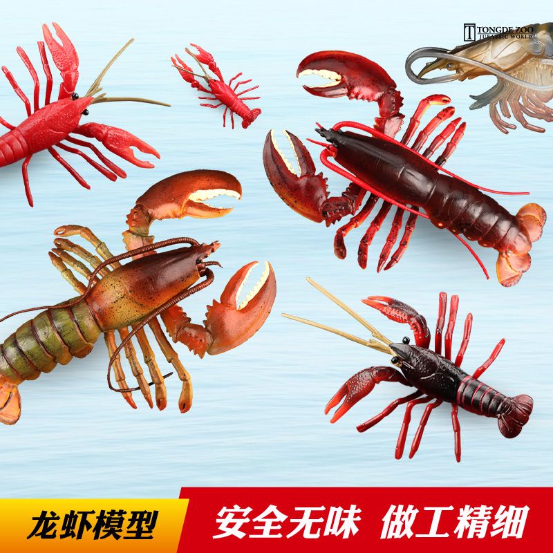 AQUA玩具模型龍蝦模型海洋動物玩具仿真海蝦小龍蝦波士頓龍蝦澳洲龍蝦兒童