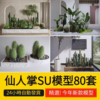 非實物sketchup模型｜ 仙人掌仙人球棍熱帶多肉植物室內陽臺露臺盆栽草圖大師su模型素材