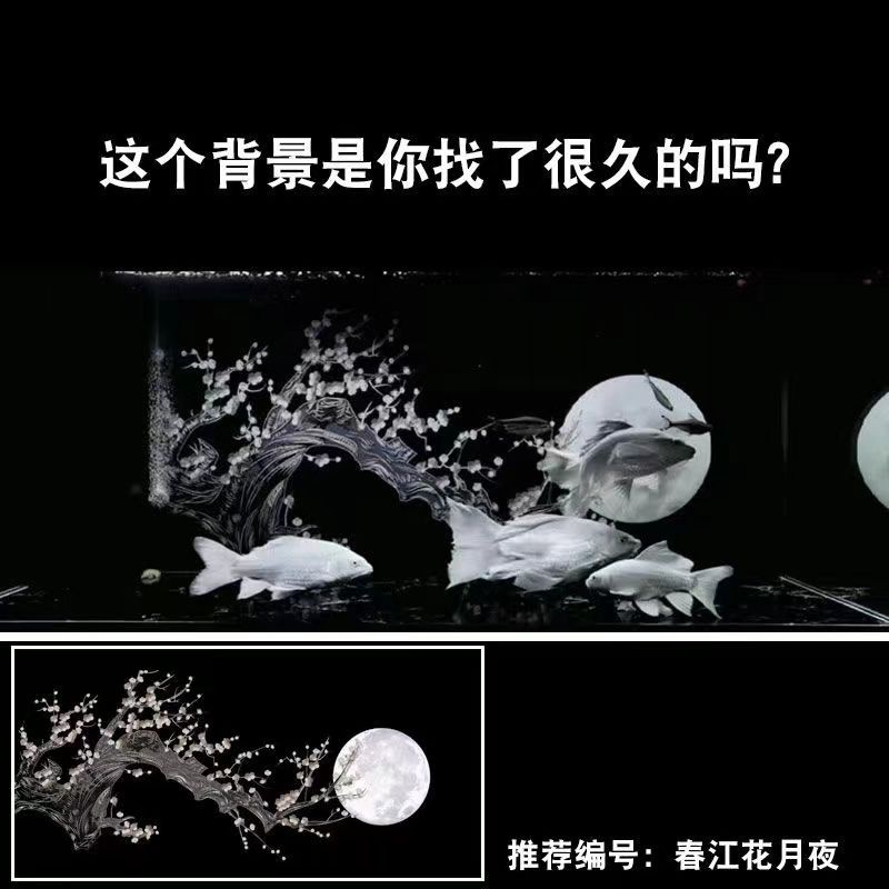 【客制】魚缸背景3d鯉魚缸春江花月月光血月水族箱造景星空黑夜背景（-大虎-）