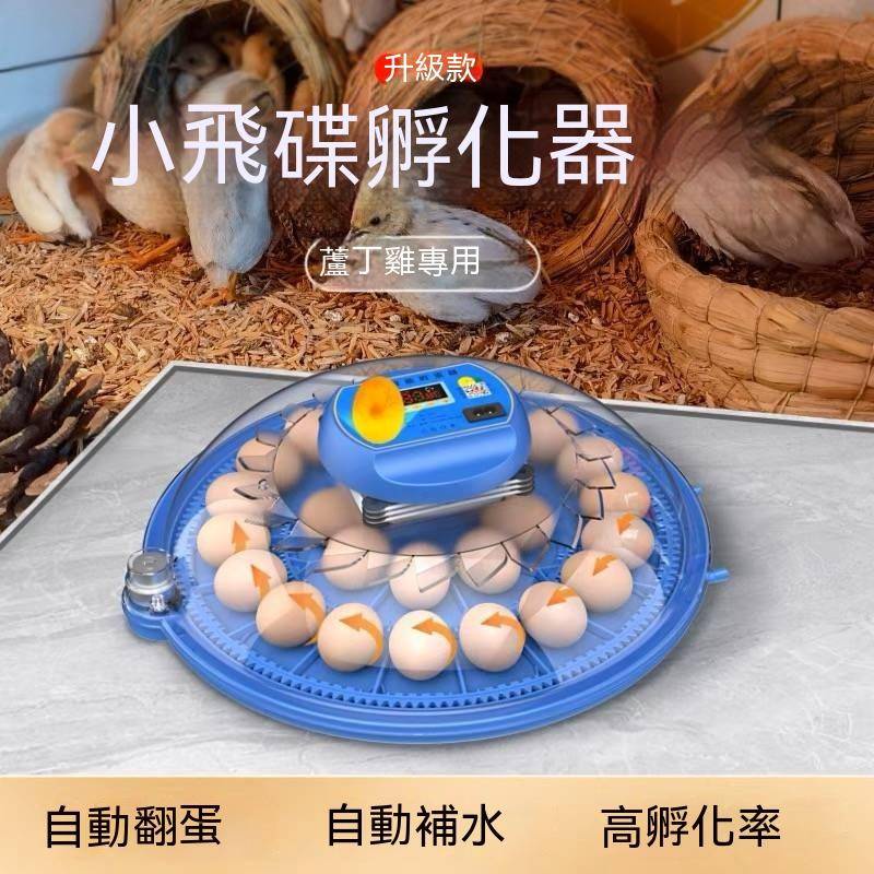 台灣保固 孵蛋器 孵化器 鴿子蘆丁雞孵蛋器 全自動智慧孵化機 家用小型孵化箱 家用孵化機 控溫孵化箱 孵蛋箱 蛋機保溫箱