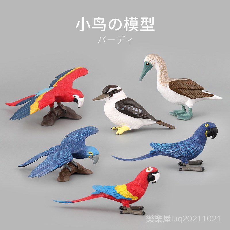 ❤樂樂屋❤仿真動物模型玩具小鳥金剛鸚鵡公仔擺件塑膠動物玩具模型沙盤模型