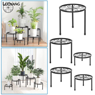 洛陽牡丹 5 件裝金屬植物支架適用於多種植物的重型花盆支架防鏽鐵花盆架