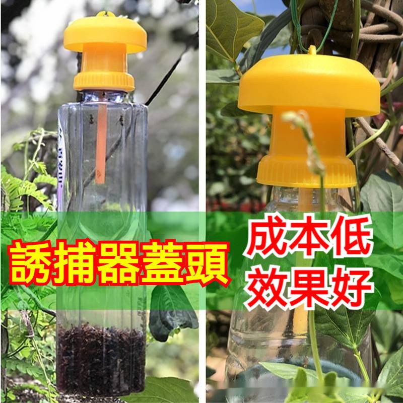 🔥台灣/發貨🔥 果蠅誘捕器 果蠅誘捕器蓋頭 果蠅 除果蠅 果蠅神器 防果蠅 黏果蠅 補果蠅 果蠅誘捕 送綁帶