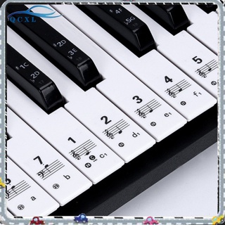 可拆卸鋼琴貼紙 61/88 鍵透明鋼琴鍵盤五線譜電子鍵盤音符貼紙