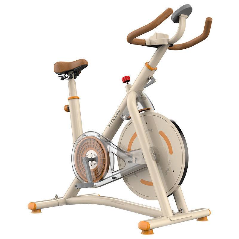 飛輪磁控動感單車家用健身車靜音室內運動自行車健身器材