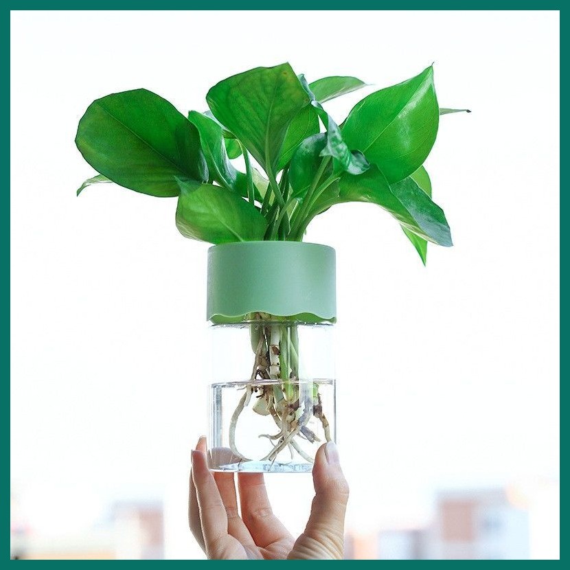 水培植物花盆塑膠瓶辦公桌水養透明塑膠瓶綠蘿扦插花盆花瓶懶人盆