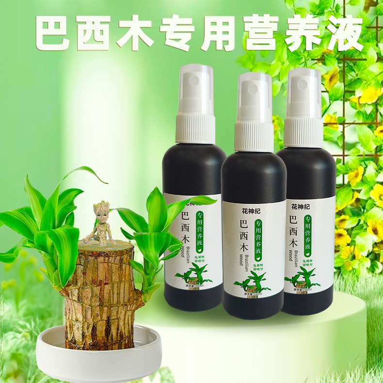 [台灣出貨]買3送1巴西木營養液 專業型養花肥料 盆栽 綠植通用營養液 幸運木水耕水養 植物肥料