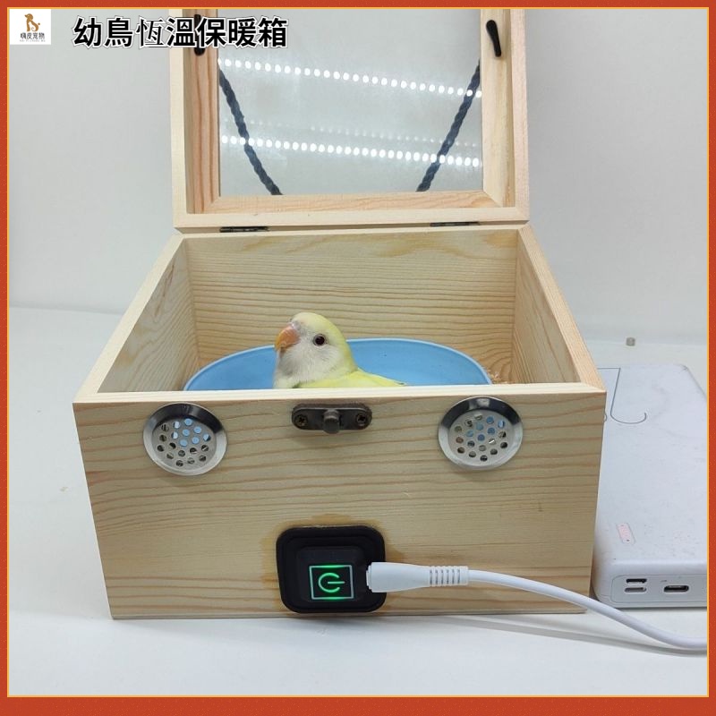 幼鳥保溫箱 USB供电鸚鵡保溫箱 鸚鵡幼鳥便攜式自動保溫箱 低功耗外出超強續航保暖恆溫幼鳥箱