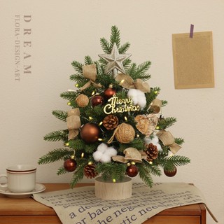【免運🎄6H出貨】 桌上聖誕樹 聖誕樹 迷你聖誕樹 小聖誕樹 聖誕小禮物 聖誕裝飾 DIY聖誕樹 迷你耶誕樹 交換禮物