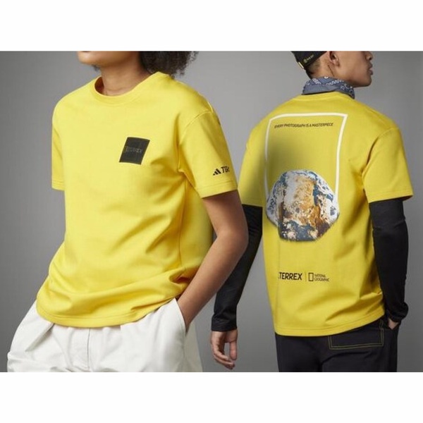 Adidas U Natgeo Gf Tee IC1989 男女 短袖上衣 T恤 運動 戶外 休閒 亞洲版 黃
